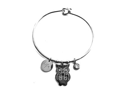 Pulsera Acero Quirúrgico con Dijes Acero Quirúrgico