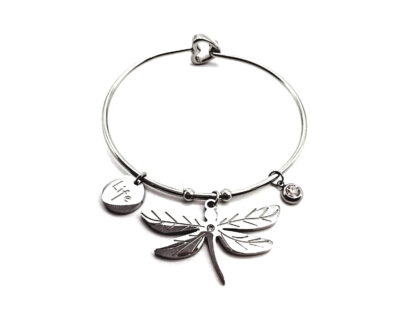 Pulsera Acero Quirúrgico con Dijes Acero Quirúrgico